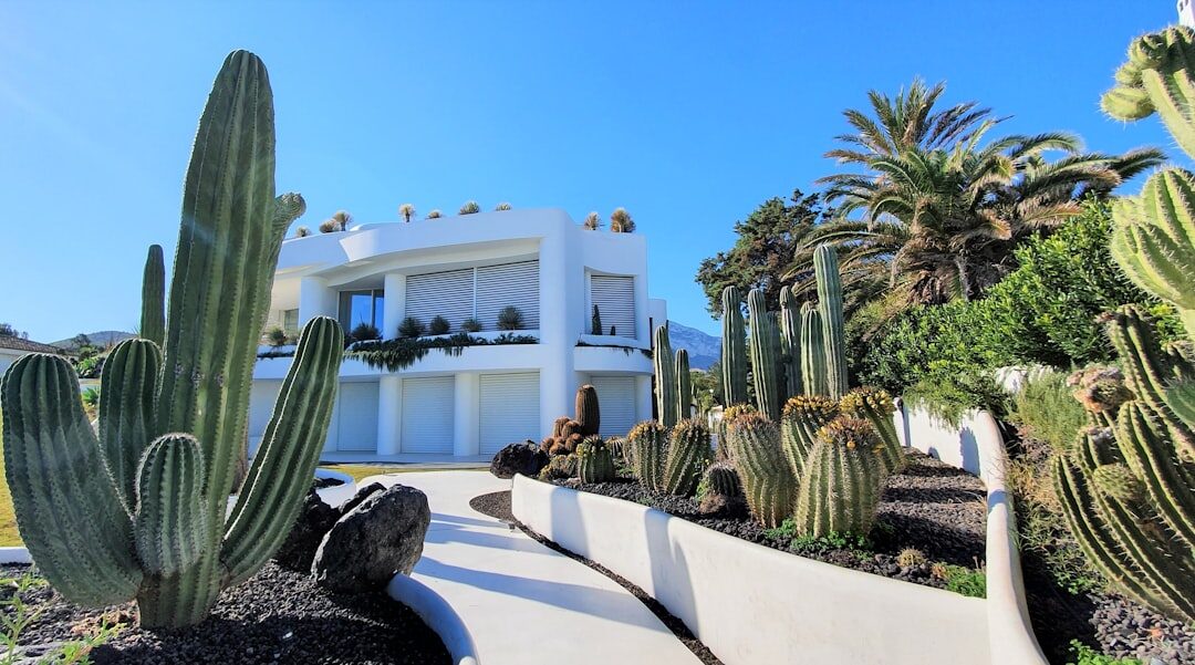 celebrity villa pool